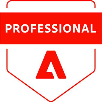Adobe Professional Developer